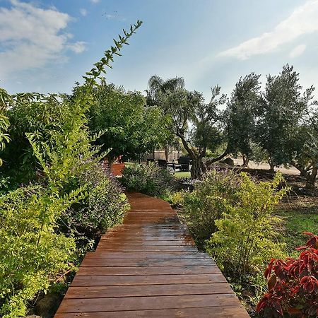 The Golan Cabin ฮัดเนส ภายนอก รูปภาพ